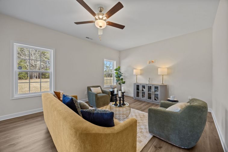 Ducks Landing Images