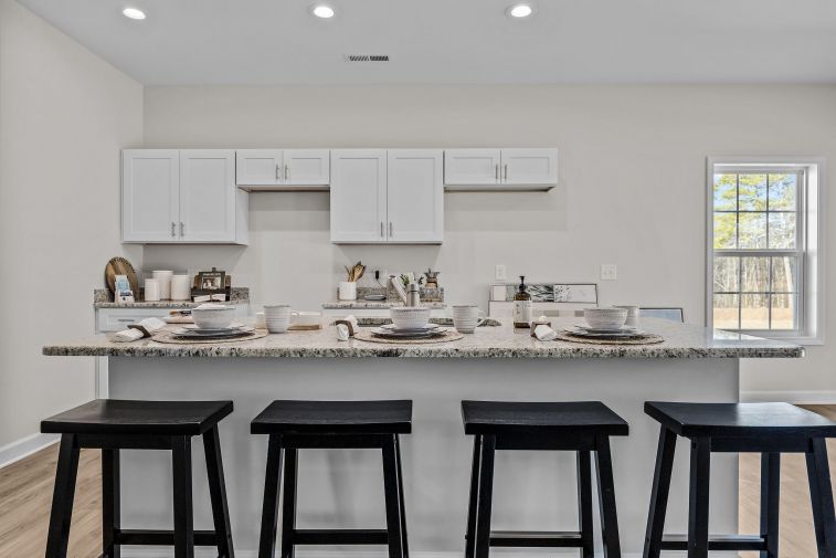 Ducks Landing Images