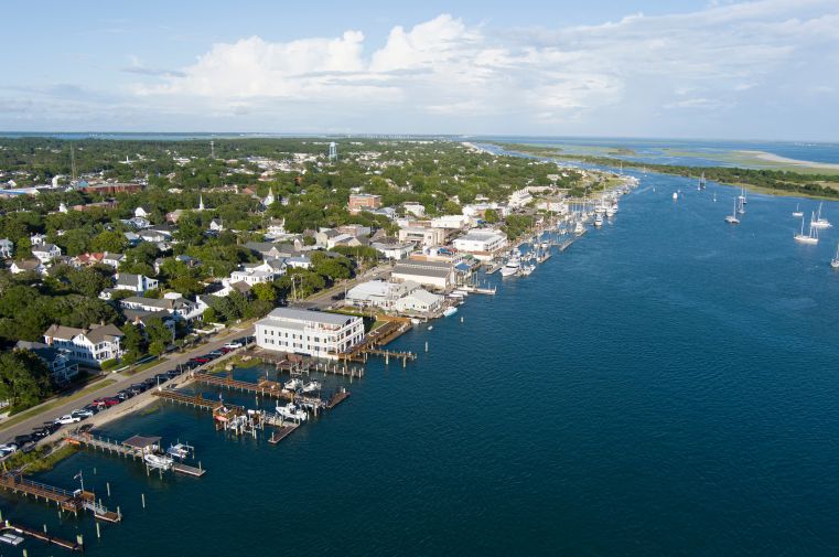 1809 Live Oak Images