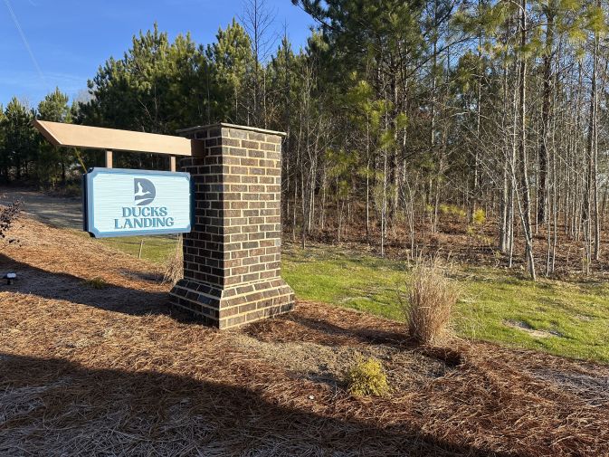 Ducks Landing Images