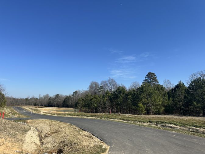 Ducks Landing Images